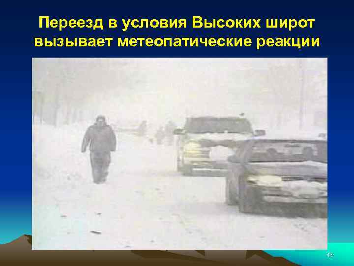 Переезд в условия Высоких широт вызывает метеопатические реакции 43 