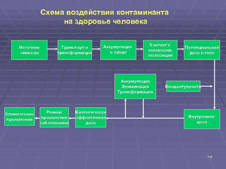 Схема воздействия контаминанта на здоровье человека Источник эмиссии Транспорт и трансформация Аккумуляция в среде