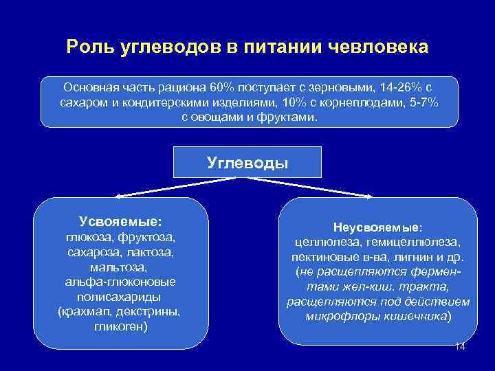 Роль углеводов в питании чевловека Основная часть рациона 60% поступает с зерновыми, 14 -26%