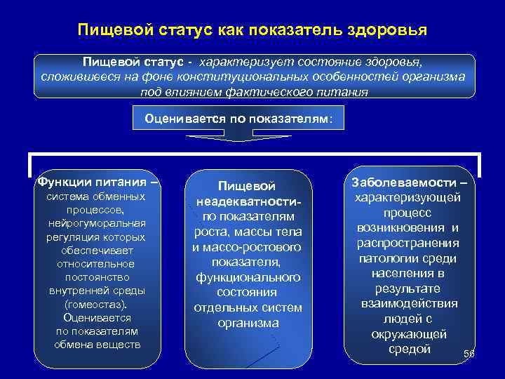 Пищевой статус как показатель здоровья Пищевой статус - характеризует состояние здоровья, сложившееся на фоне