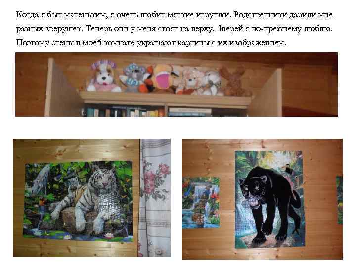 Когда я был маленьким, я очень любил мягкие игрушки. Родственники дарили мне разных зверушек.