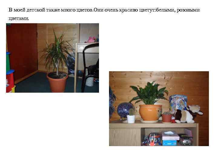 В моей детской также много цветов. Они очень красиво цветут: белыми, розовыми цветами. 