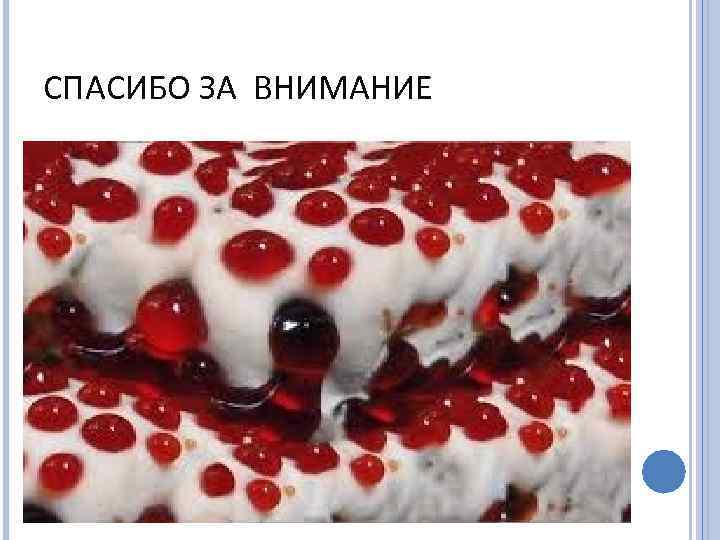 СПАСИБО ЗА ВНИМАНИЕ 