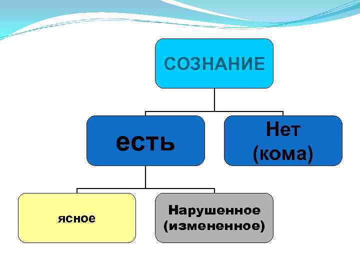 СОЗНАНИЕ есть ясное Нет (кома) Нарушенное (измененное) 