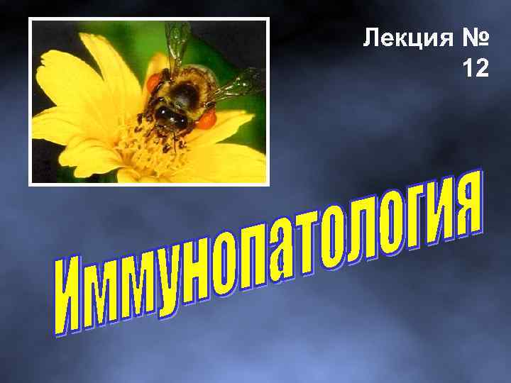 Лекция № 12 