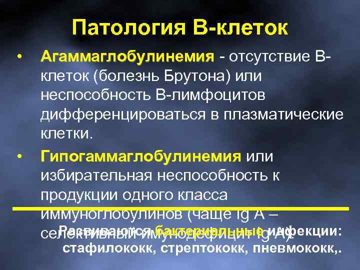Патология В-клеток • • Агаммаглобулинемия - отсутствие Вклеток (болезнь Брутона) или неспособность В-лимфоцитов дифференцироваться