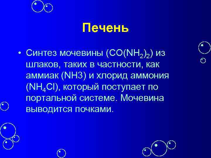 Печень • Синтез мочевины (СО(NH 2)2) из шлаков, таких в частности, как аммиак (NH