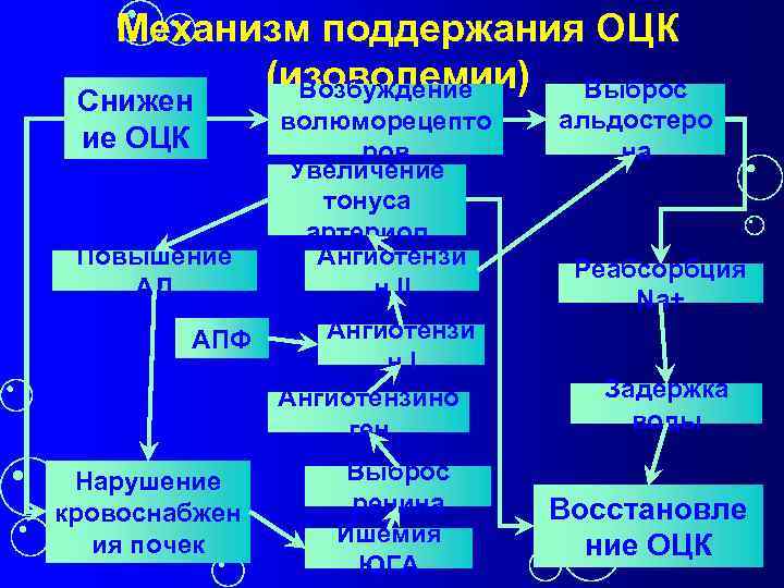 Механизм поддержания ОЦК (изоволемии) Выброс Возбуждение Снижен ие ОЦК Повышение АД АПФ Нарушение кровоснабжен