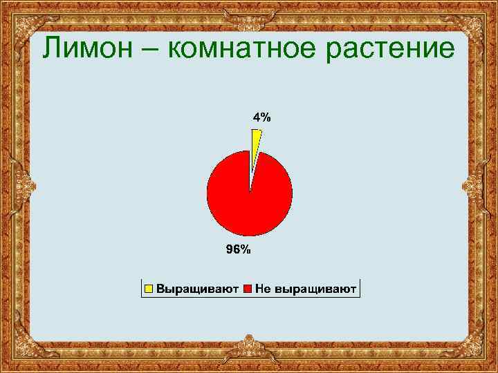 Лимон – комнатное растение 