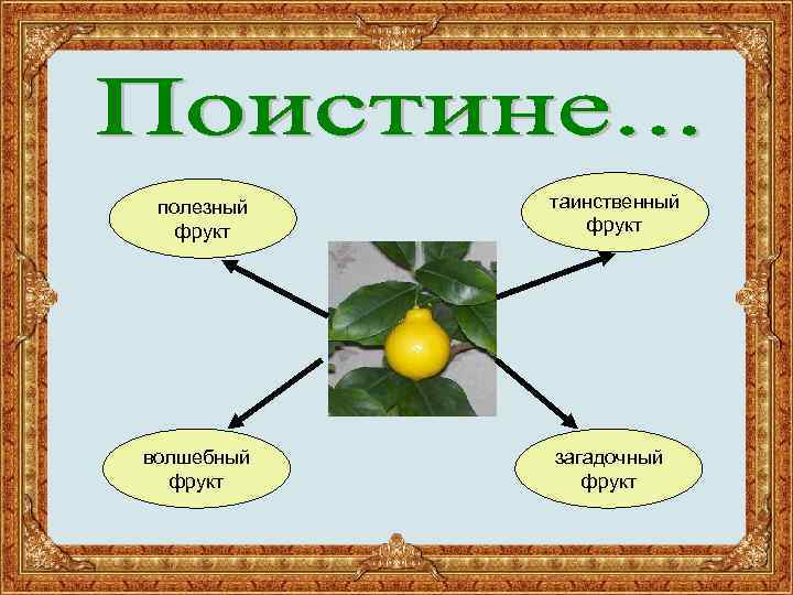 полезный фрукт волшебный фрукт таинственный фрукт загадочный фрукт 