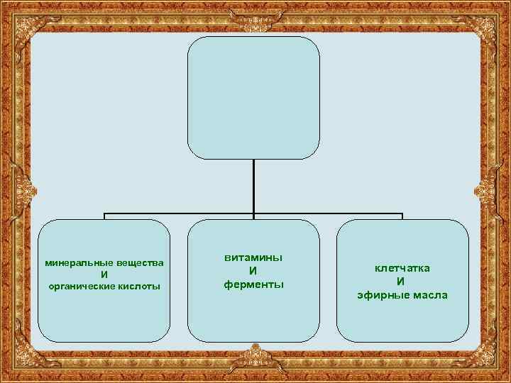 минеральные вещества И органические кислоты витамины И ферменты клетчатка И эфирные масла 
