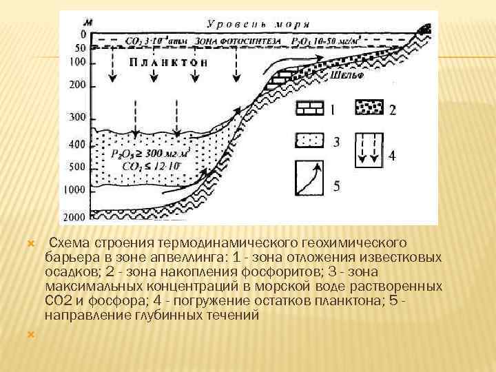  Схема строения термодинамического геохимического барьера в зоне апвеллинга: 1 - зона отложения известковых