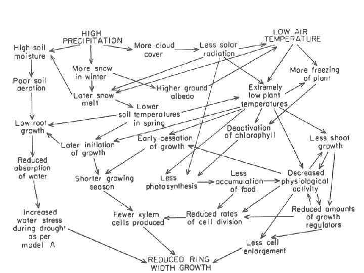 The “high precip – low temp” model: 