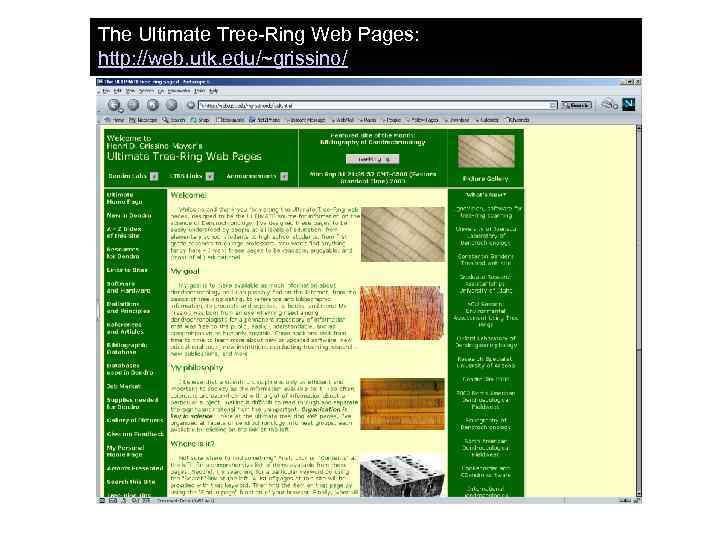 The Ultimate Tree-Ring Web Pages: http: //web. utk. edu/~grissino/ 