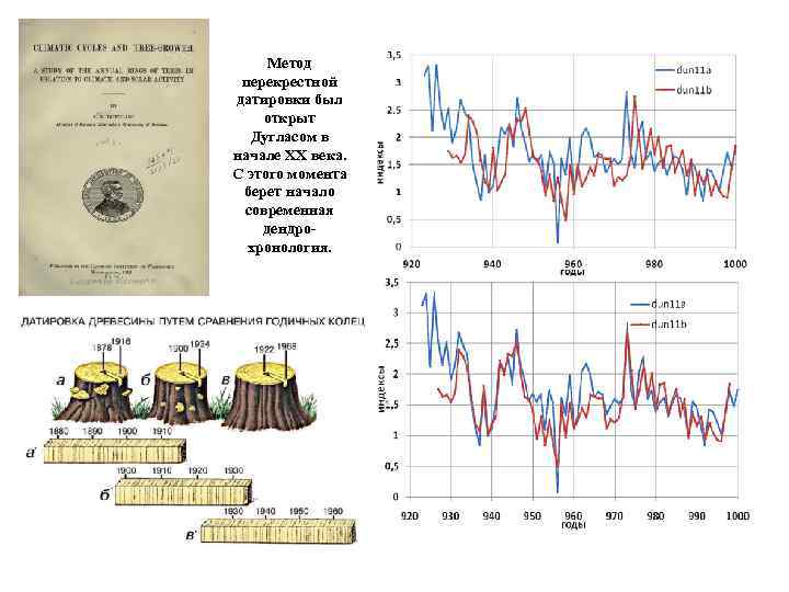 Метод перекрестной датировки был открыт Дугласом в начале XX века. С этого момента берет