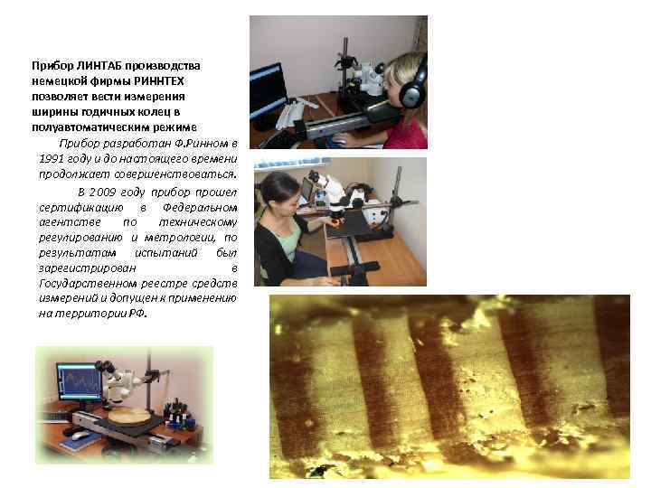 Прибор ЛИНТАБ производства немецкой фирмы РИННТЕХ позволяет вести измерения ширины годичных колец в полуавтоматическим