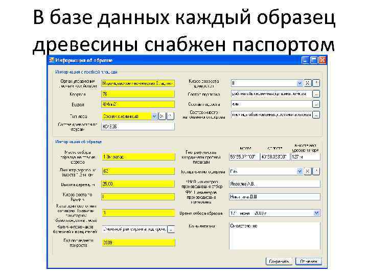 В базе данных каждый образец древесины снабжен паспортом 