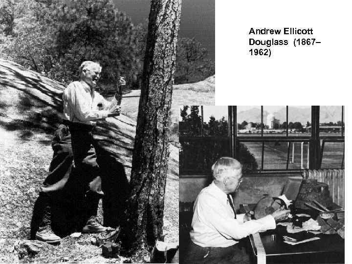 Andrew Ellicott Douglass (1867– 1962) John Muir (1838 – 1914) 
