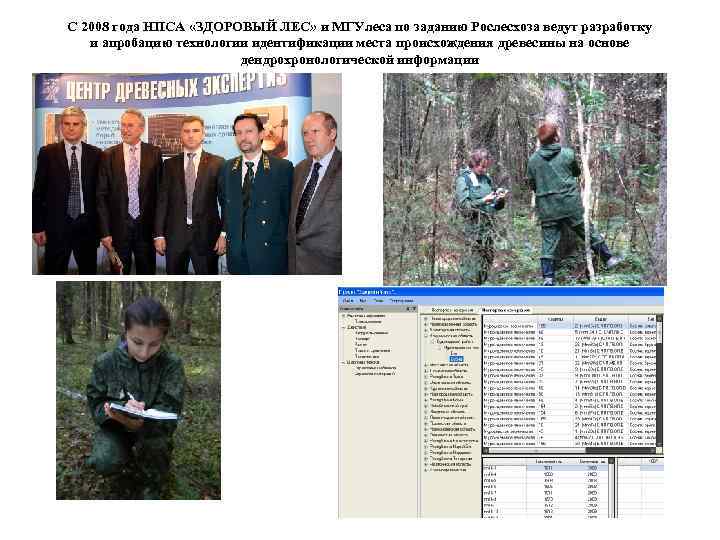 С 2008 года НПСА «ЗДОРОВЫЙ ЛЕС» и МГУлеса по заданию Рослесхоза ведут разработку и