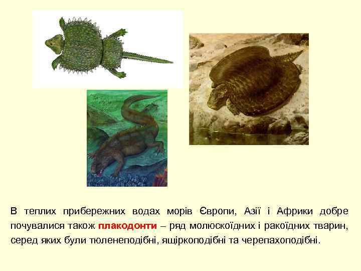 В теплих прибережних водах морів Європи, Азії і Африки добре почувалися також плакодонти –
