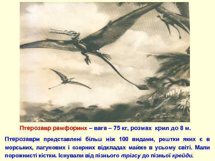  Птерозавр рамфоринх – вага – 75 кг, розмах крил до 8 м. Птерозаври