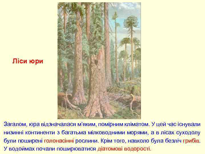 Ліси юри Загалом, юра відзначалася м’яким, помірним кліматом. У цей час існували низинні континенти