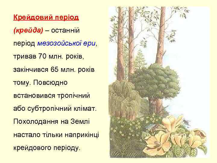 Крейдовий період (крейда) – останній період мезозойської ери, тривав 70 млн. років, закінчився 65
