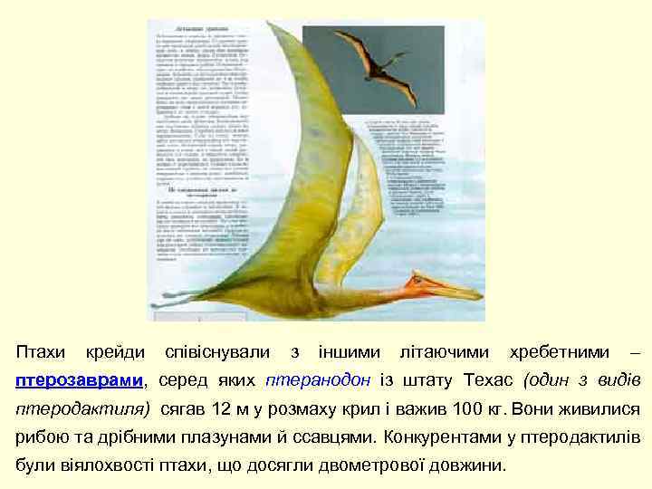 Птахи крейди співіснували з іншими літаючими хребетними – птерозаврами, серед яких птеранодон із штату