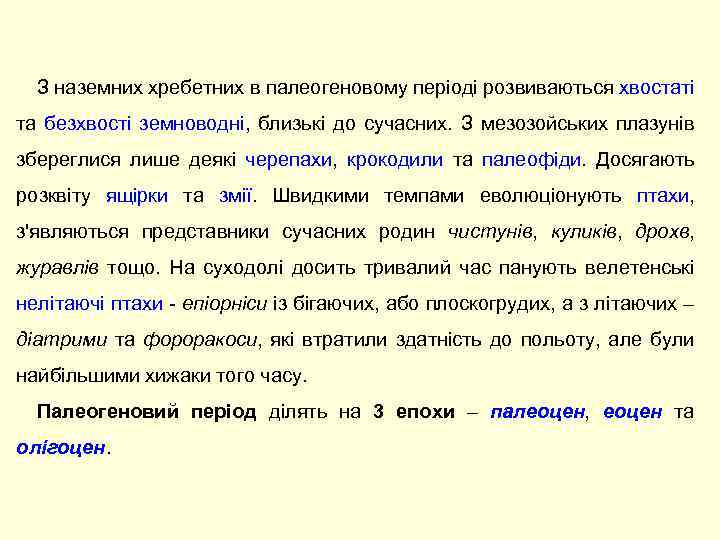 З наземних хребетних в палеогеновому періоді розвиваються хвостаті та безхвості земноводні, близькі до сучасних.