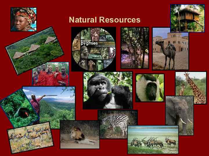 Natural Resources 