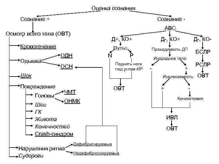 Оценка сознания Сознание + Сознание АВС Осмотр всего тела (ОВТ) Д+, КО+ Кровотечение Одышка