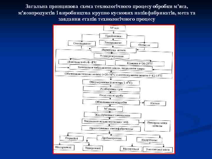 Загальна принципова схема технологічного процесу обробки м'яса, м'ясопродуктів і виробництва крупно кускових напівфабрикатів, мета