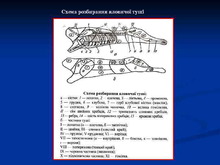 Схема розбирання яловичої туші 