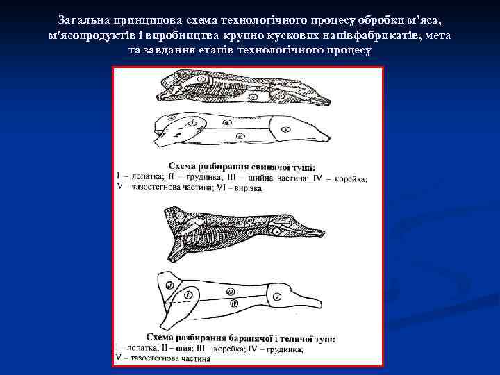 Загальна принципова схема технологічного процесу обробки м'яса, м'ясопродуктів і виробництва крупно кускових напівфабрикатів, мета