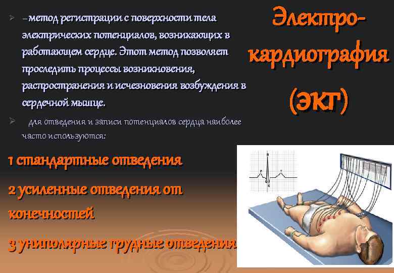 Ø – метод регистрации с поверхности тела электрических потенциалов, возникающих в работающем сердце. Этот