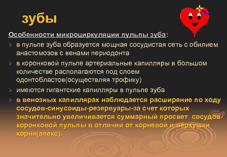 зубы Особенности микроциркуляции пульпы зуба: Ø в пульпе зуба образуется мощная сосудистая сеть с