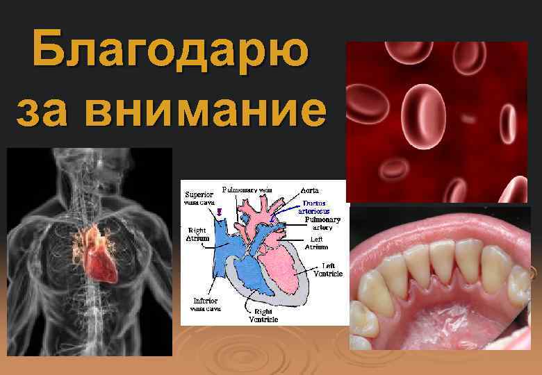 Благодарю за внимание 