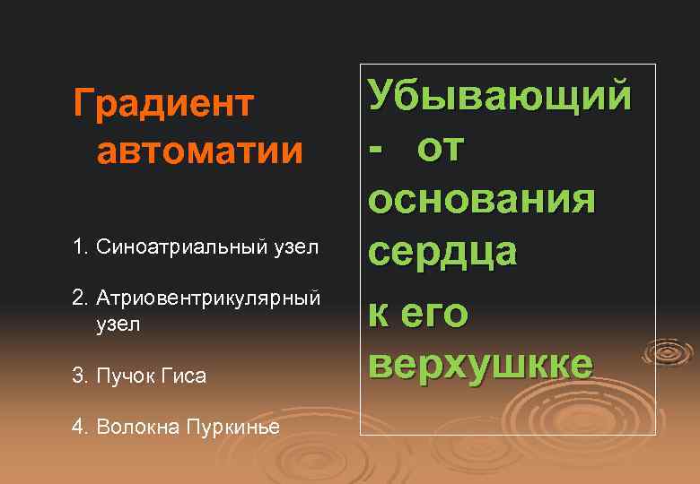 Градиент автоматии 1. Синоатриальный узел 2. Атриовентрикулярный узел 3. Пучок Гиса 4. Волокна Пуркинье