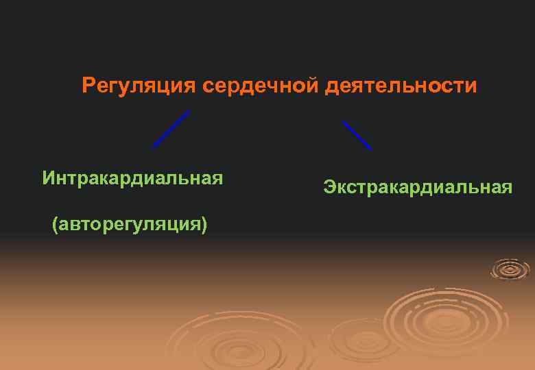 Регуляция сердечной деятельности Интракардиальная (авторегуляция) Экстракардиальная 