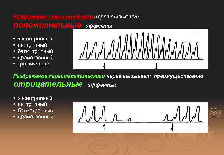 Раздражение симпатического нерва вызывает положительные • • • эффекты: хронотропный инотропный батмотропный дромотропный трофический
