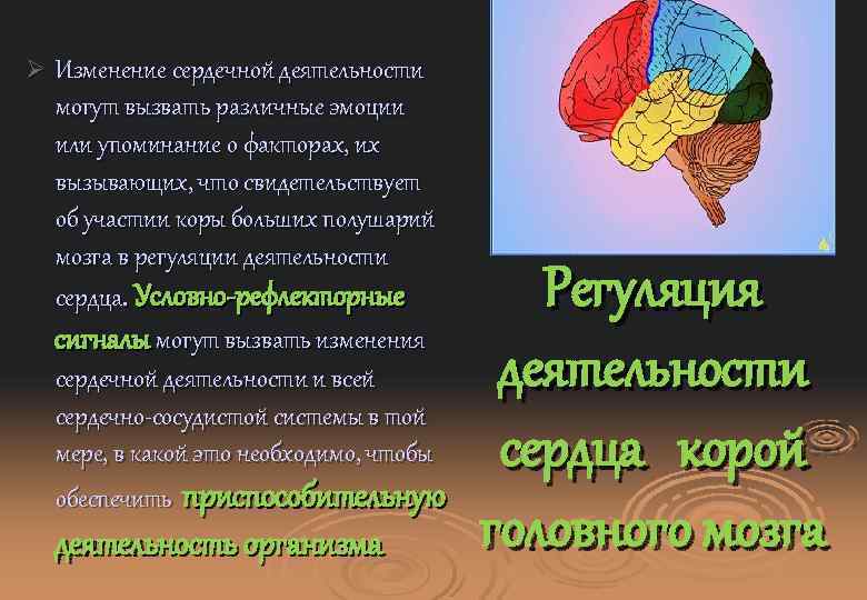 Ø Изменение сердечной деятельности могут вызвать различные эмоции или упоминание о факторах, их вызывающих,