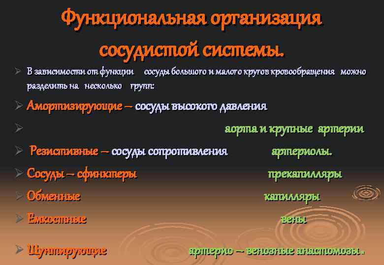 Ø Функциональная организация сосудистой системы. В зависимости от функции сосуды большого и малого кругов