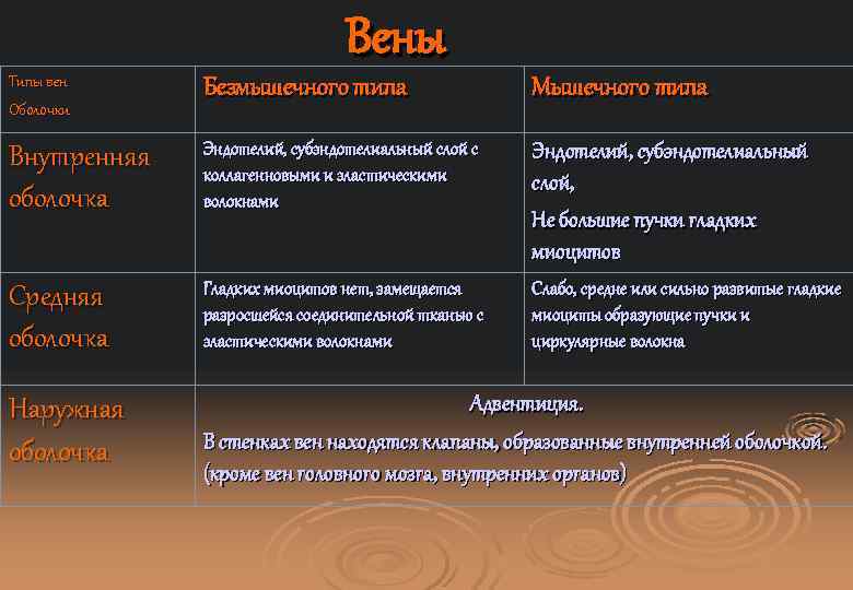 Вены Типы вен Оболочки Безмышечного типа Мышечного типа Внутренняя оболочка Эндотелий, субэндотелиальный слой с