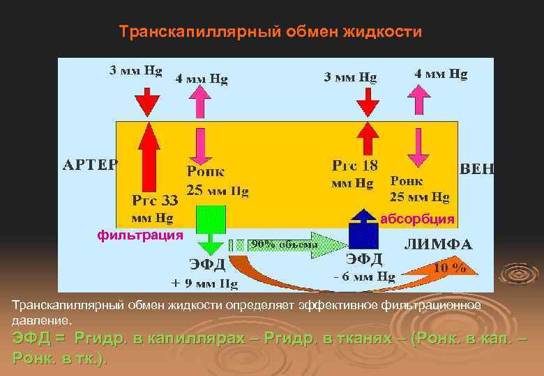 Транскапиллярный обмен жидкости абсорбция фильтрация Транскапиллярный обмен жидкости определяет эффективное фильтрационное давление. ЭФД =