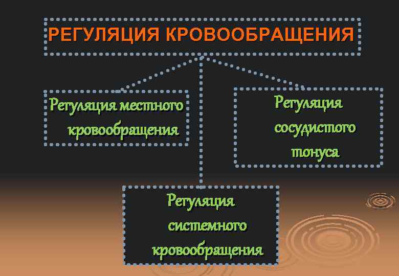РЕГУЛЯЦИЯ КРОВООБРАЩЕНИЯ Регуляция местного кровообращения Регуляция системного кровообращения Регуляция сосудистого тонуса 
