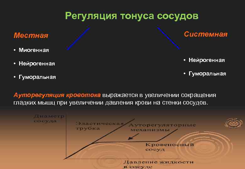 Патофизиология сосудистого тонуса презентация