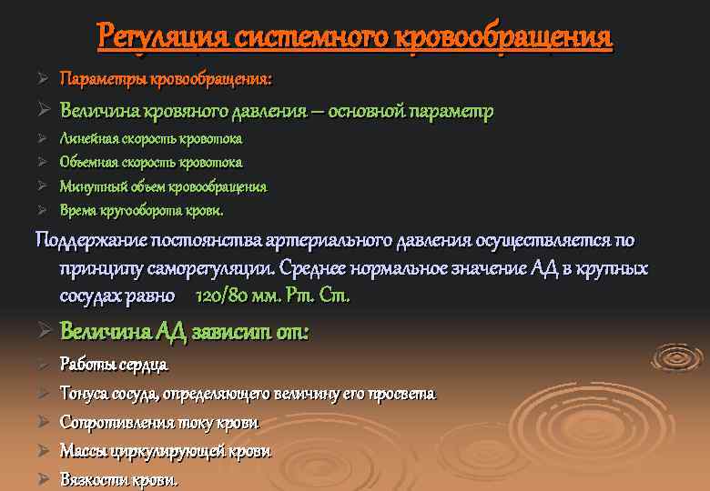 Регуляция системного кровообращения Ø Параметры кровообращения: Ø Величина кровяного давления – основной параметр Ø