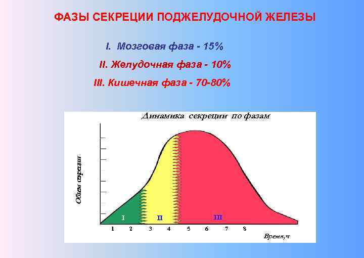 Схема желудочной фазы регуляции панкреатической секреции