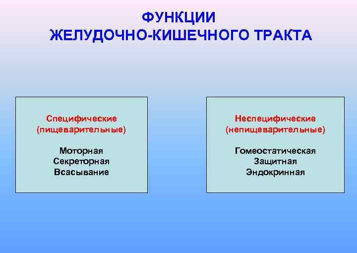 ФУНКЦИИ ЖЕЛУДОЧНО-КИШЕЧНОГО ТРАКТА Специфические (пищеварительные) Неспецифические (непищеварительные) Моторная Секреторная Всасывание Гомеостатическая Защитная Эндокринная 