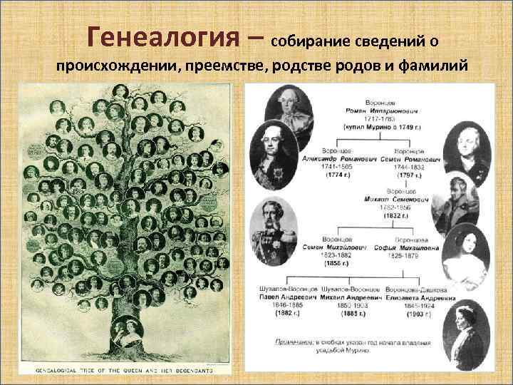 Генеалогия – собирание сведений о происхождении, преемстве, родстве родов и фамилий 